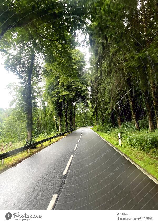 Landstraße Verkehr grün Baum Mittelstreifen zweispurig Roadmovie Fahrbahn Wege & Pfade Verkehrswege Asphalt unterwegs on the road Straßenverkehr leere Straße