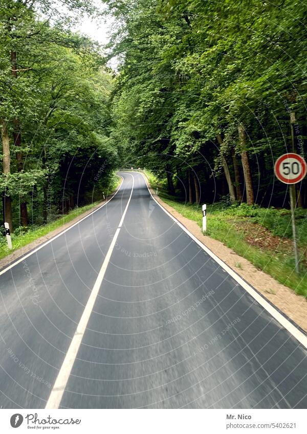 Landstraße Straßenrand Bäume Umwelt Autofahren außerorts Straßenverkehr leere Straße on the road Verkehrswege Roadmovie grün zweispurig Wege & Pfade unterwegs