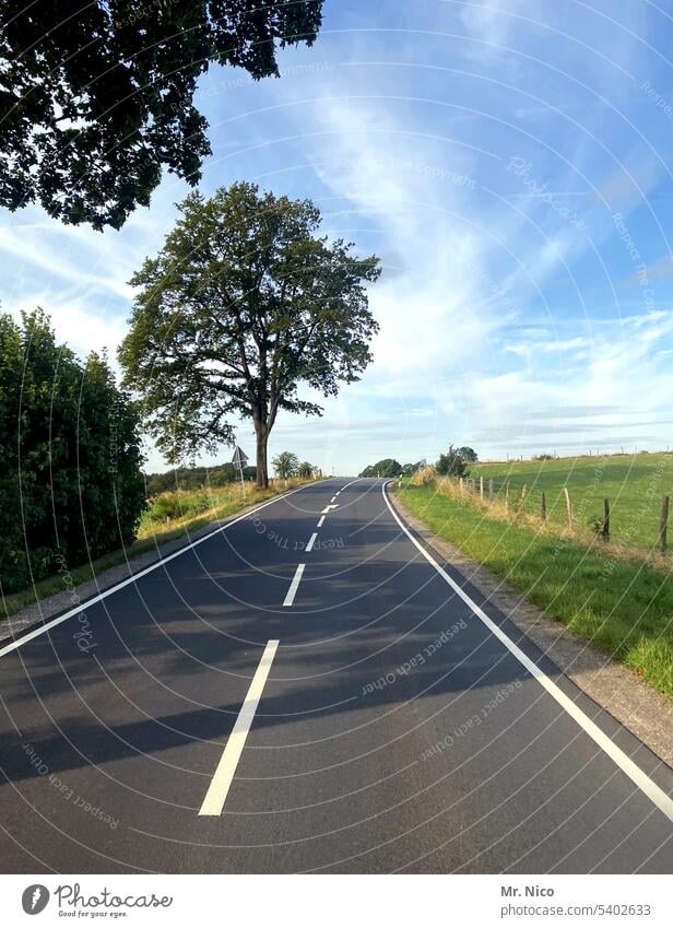 Landstraße Verkehr grün Himmel Baum Mittelstreifen zweispurig Roadmovie unterwegs on the road Straßenverkehr leere Straße Landschaft Asphalt Fahrbahn