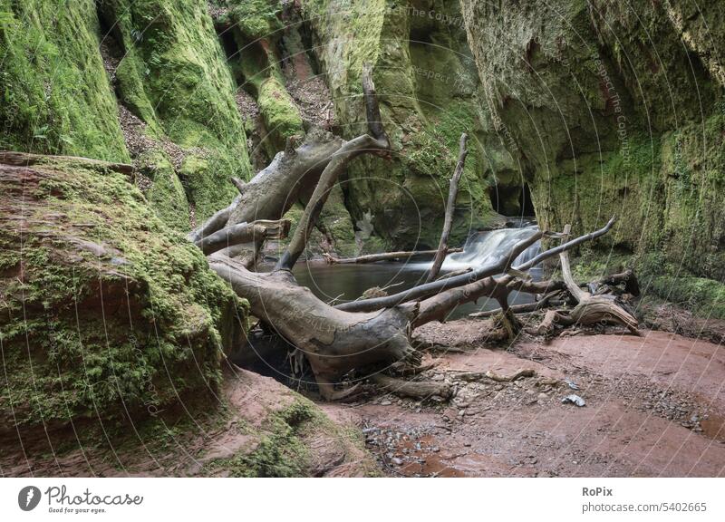 Devils Pulpit Tal Fluss Wasserfall Stromschnellen skye river Bach valley Landschaft landscape scotland England Schottland wandern hiking Erholung ruhe stille