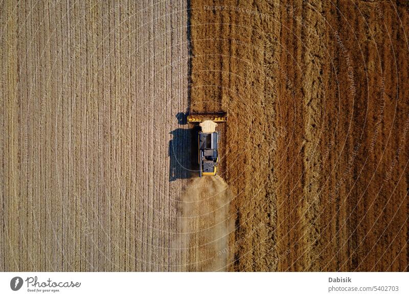 Mähdrescher bei der Arbeit auf einem landwirtschaftlichen Feld. Erntesaison Ernten Erntemaschine Roggen Agronomie Gerste Antenne Weizen Lebensmittel Sommer