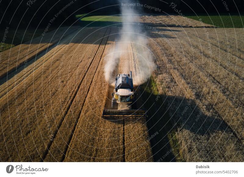 Mähdrescher bei der Arbeit auf einem landwirtschaftlichen Feld. Erntesaison Ernten Erntemaschine Roggen Agronomie Gerste Antenne Weizen Lebensmittel Sommer