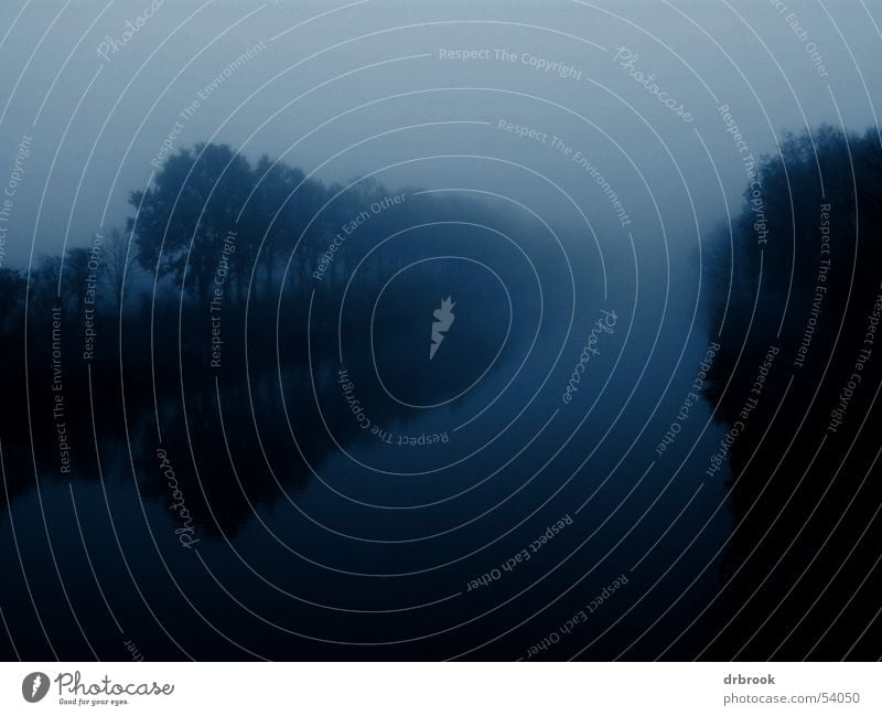 Mystic River Nebel Baum mystisch geheimnisvoll Dämmerung Ferne Einsamkeit Angst Trauer Verzweiflung Panik Fluss Bach Abwasserkanal wir machen den weg frei Natur