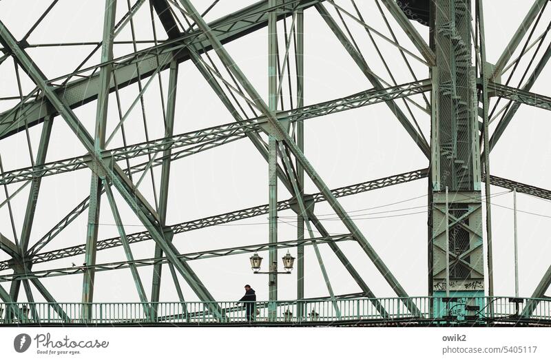 Zwischen Losch- und Blasewitz Dresden Brücke Blaues Wunder Stahlbrücke Eisen Architektur Elbufer Altstadt Detailaufnahme Wahrzeichen Sehenswürdigkeit