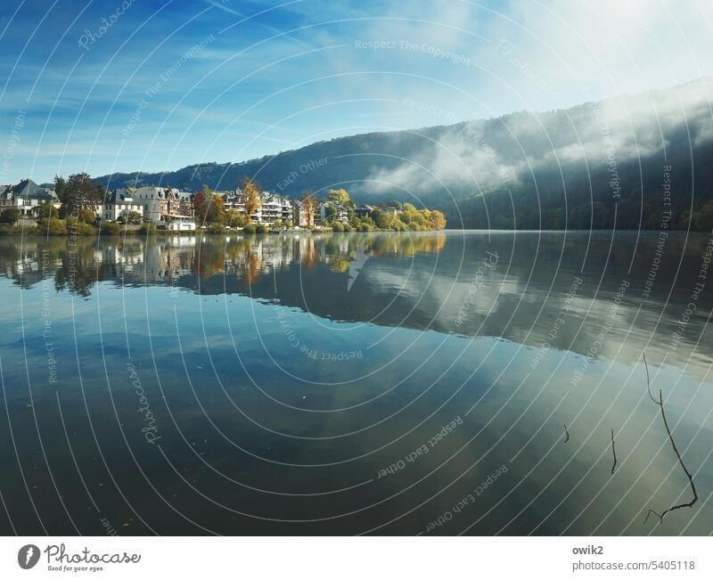 Mittelmosel Flusslandschaft Spiegelung Ufer fließend Schönes Wetter Windstille friedlich Weite Sonnenlicht Horizont Licht Mosel (Weinbaugebiet) Sehnsuchtsort