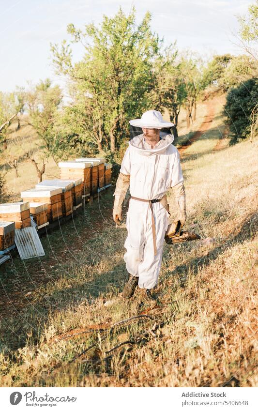 Männlicher Imker mit Raucher bei der Arbeit im Bienenstock Mann Raucherin Bienenkorb Werkzeug Ackerbau behüten professionell prüfen Gerät Uniform Bauernhof