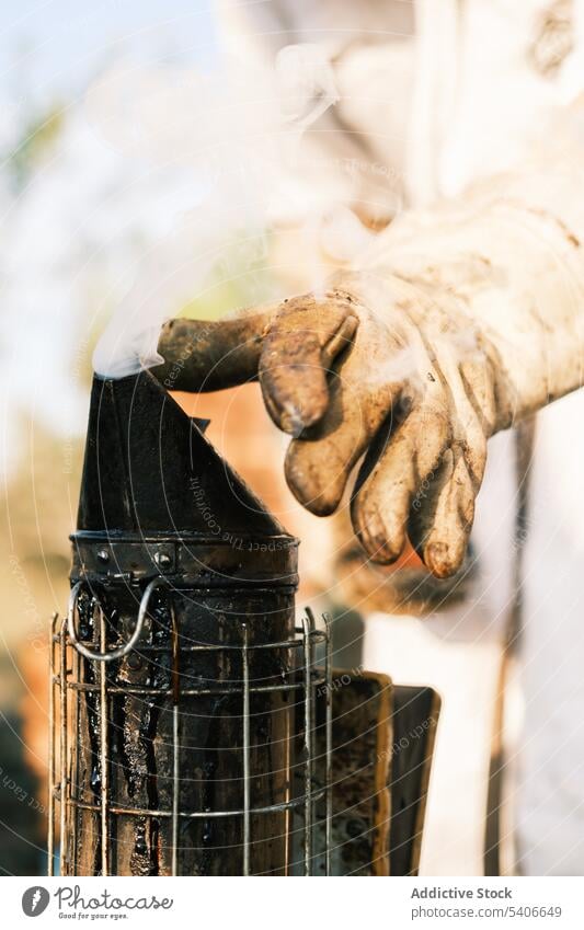 Unbekannter Imker bei der Arbeit in der Nähe des Bienenstocks Raucherin Bienenkorb Dunst Garten Landschaft Arbeiter Natur Beruf Metall Gerät professionell