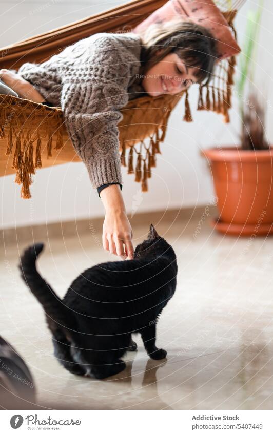 Frau streichelt flauschige schwarze Katze auf dem Boden Lügen Kraulen Haustier ruhen Hängematte Bett heimisch Tier sich[Akk] entspannen Komfort niedlich