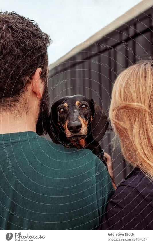 Junges Paar, das seinen Hund beim Spaziergang umarmt Besitzer schlendern Zeit verbringen Dackel kuscheln Umarmen Haustier jung Umarmung Straße Begleiter