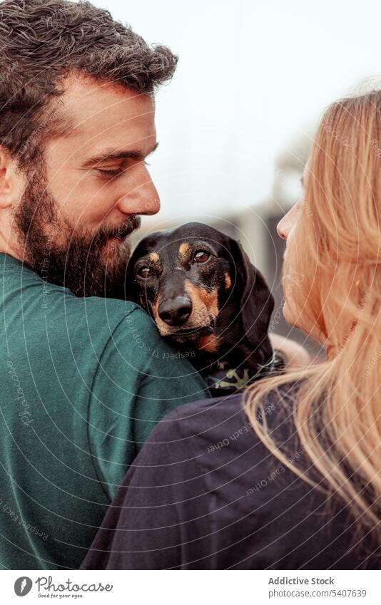 Junges Paar, das seinen Hund beim Spaziergang umarmt Besitzer schlendern Zeit verbringen Dackel kuscheln Umarmen Haustier jung Umarmung Straße Begleiter