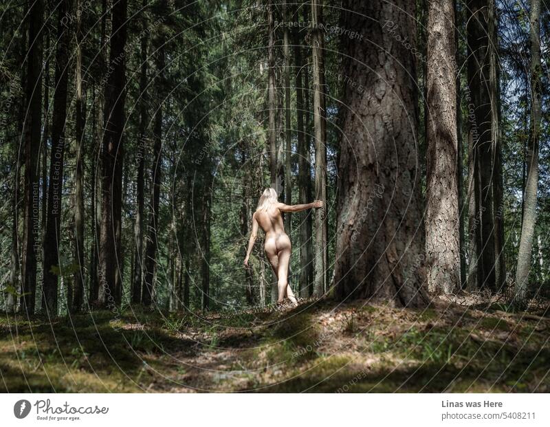 Diese wilden Wälder werden von wunderschönen nackten Kreaturen durchstreift. Wie dieses hübsche blonde Mädchen. Sie zeigt ihre sexy Kurven und ihren Hintern in der Wildnis. Ein Gefühl von Freiheit und endlosem Sommer liegt in der Luft.