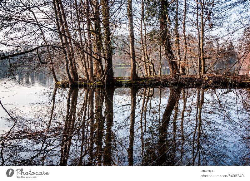 Seeufer im Herbst Erholung Spiegelung Bäume Idylle Natur Reflexion & Spiegelung Wasser Landschaft Baum Ruhe friedlich Wasseroberfläche Schönes Wetter Ufer Teich