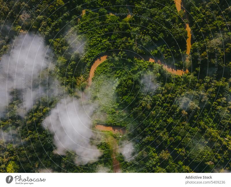 Drohnenansicht von grünem Wald und Feldern mit Straße Landschaft Haus Regenwald wohnbedingt Natur Baum ländlich eng Weg wolkig Pflanze Fahrbahn Wohnsiedlung