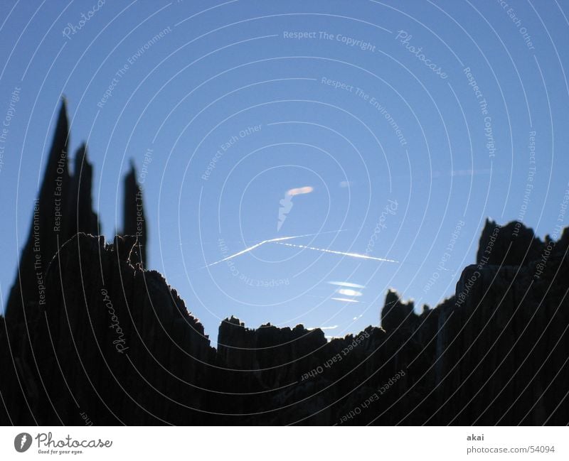 Lichterspiel am Schauinsland Sturm Spinne Spinnennetz Baum Ruine Sonnenlicht himmelblau Schwarzwald Baumstamm Orkan Spinngewebe Reflexion & Spiegelung Baumruine