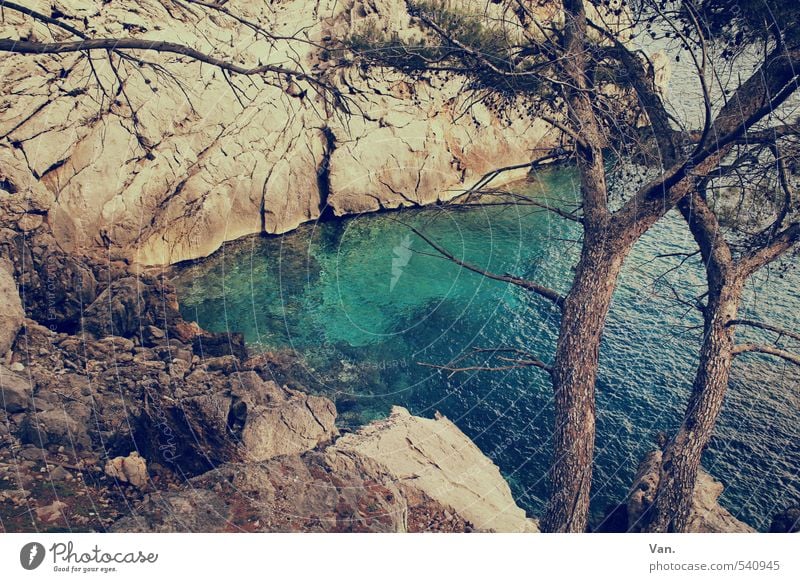 Mach mal wieder Urlaub Ferien & Urlaub & Reisen Natur Pflanze Erde Wasser Sommer Baum Felsen Küste Bucht schön Wärme blau Farbfoto Gedeckte Farben Außenaufnahme