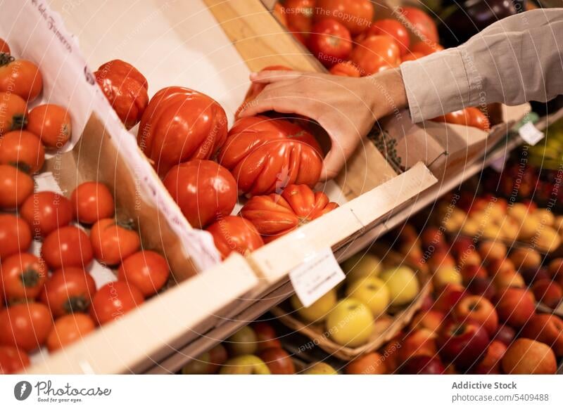 Anonyme Person, die im Supermarkt reife Tomaten auswählt Lebensmittelgeschäft Gemüse Verkäufer wählen Kasten Arbeit Laden Markt pflücken frisch Produkt Uniform