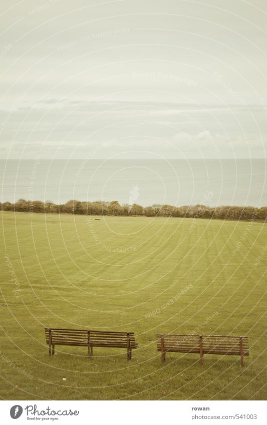 weite Natur Landschaft Nebel Gras Park Wiese ruhig Bank leer Ferne Erholung Meditation Meer Horizont Luft Rasen Farbfoto Gedeckte Farben Außenaufnahme