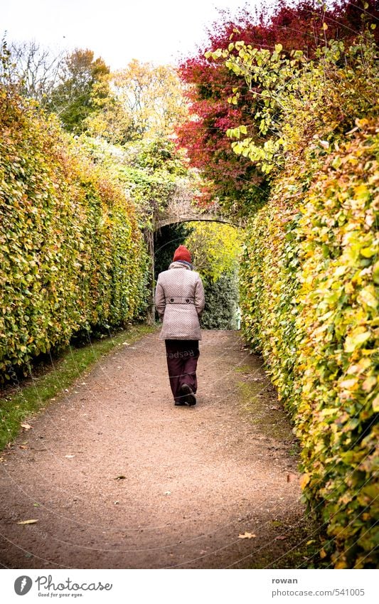 voran Mensch feminin Frau Erwachsene 1 Park gehen Hecke herbstlich Herbst Herbstfärbung Spaziergang Wege & Pfade Tor Farbfoto Außenaufnahme Textfreiraum unten