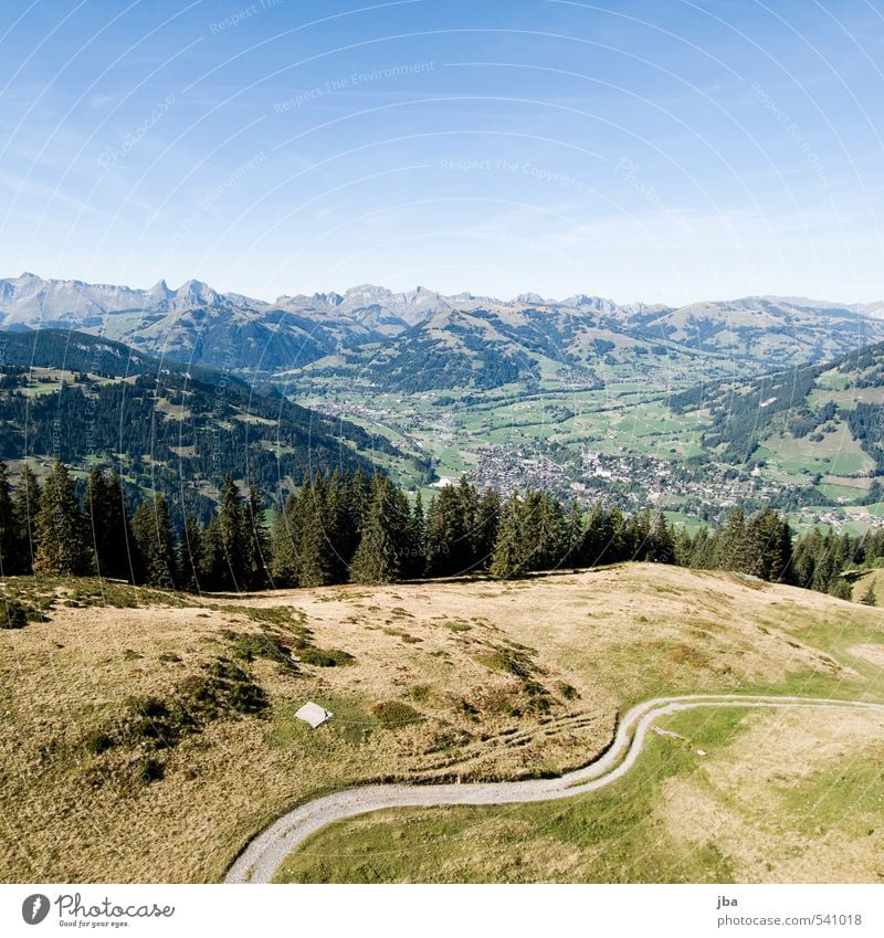 Saanenland Leben Wohlgefühl Zufriedenheit ruhig Tourismus Ferne Sommer Sommerurlaub Berge u. Gebirge wandern Bergwanderung Klettern Umwelt Landschaft Herbst