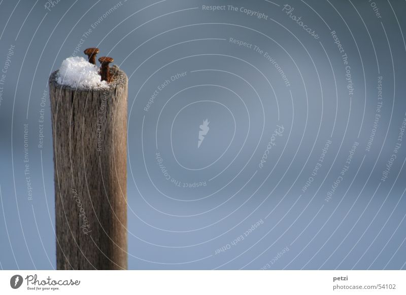 Die aufrechten zwei Schnee Holz alt rund blau weiß Einsamkeit Haufen Nagel 2 Pfosten Riss Maserung wenige Farbfoto Außenaufnahme Detailaufnahme