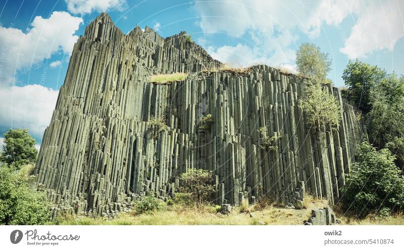 Orgelbau Erhebung Felsen Basaltsteine Herrenhausfelsen Säulenbasalt Steinbruch geheimnisvoll Steine Sommer Sonnenlicht Panorama (Aussicht) Sehenswürdigkeit