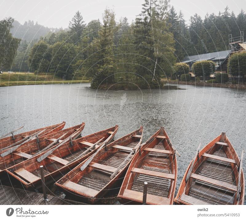 Gondelteich im Regen Ruderboote Gondel (Boot) Binnenschifffahrt Boote Holz Wasserfahrzeug einfach See Seeufer Teich Insel Umwelt Idylle draußen Park Landschaft