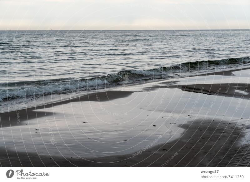 Ostsee menschenleer Ostseestrand Ostseeküste Menschenleer menschenleerer Strand Sandstrand Wellen Dünung Wasserwellen Spiegelung Küste Meer Natur Himmel