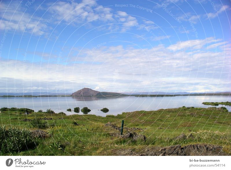 Island Meer Wolken Gras Wiese Zaun Frühling Freundlichkeit Himmel blau Reflexion & Spiegelung Berge u. Gebirge hell