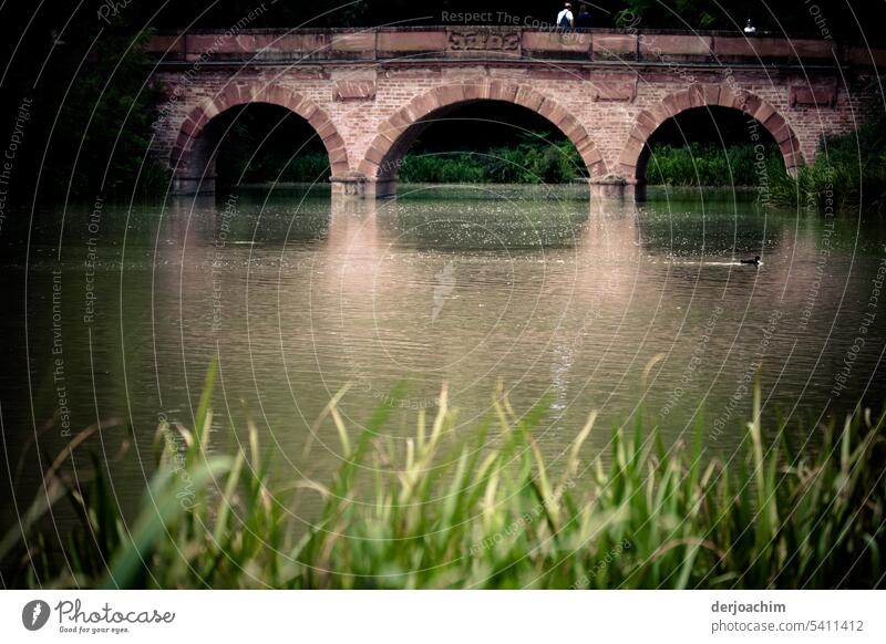 Alte Steinbrücke über den Fluss. Brücke Wasser Architektur Bauwerk Menschenleer Tag Farbfoto Sehenswürdigkeit historisch Außenaufnahme alt Wahrzeichen Flusslauf