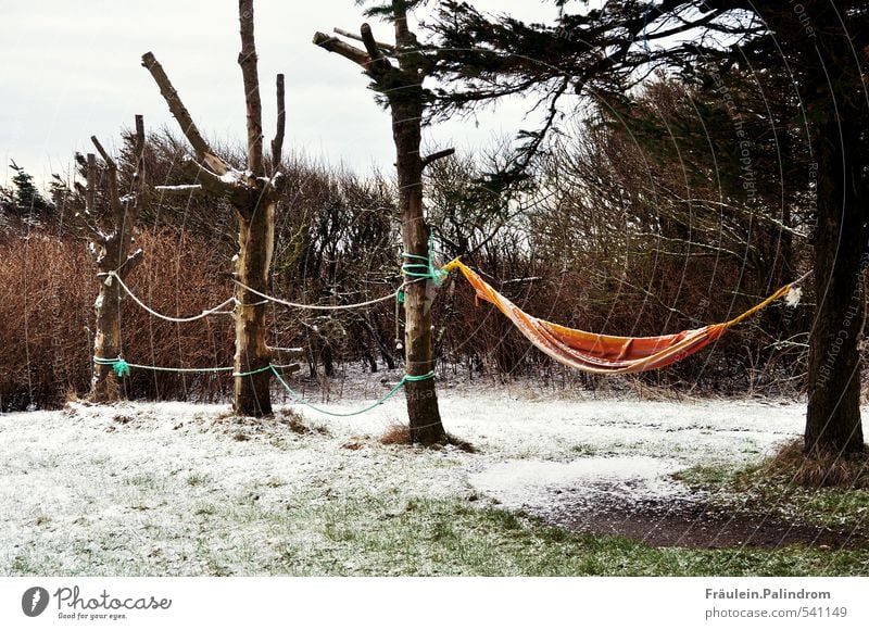 wenn jetzt sommer wär'. Umwelt Natur Wolken schlechtes Wetter Baum Sträucher Garten Park Wiese schaukeln warten Einsamkeit Unbewohnt Hängematte Winter