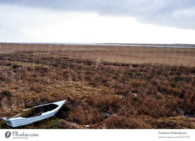 ahoi II. Umwelt Natur Landschaft Wasser Wolken schlechtes Wetter Pflanze Gras Sträucher Feld Seeufer Flussufer Ostsee Meer Insel Moor Sumpf Schifffahrt