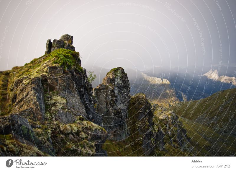 gezackter Rücken Landschaft schlechtes Wetter Wind Nebel Moos Felsen Berge u. Gebirge Gipfel eckig Unendlichkeit oben stark Stimmung selbstbewußt Macht Mut