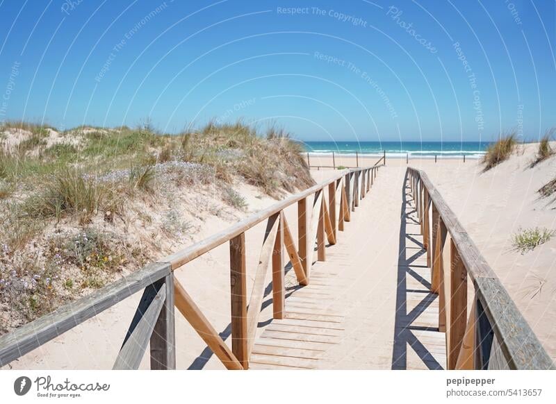 langer Holzsteg in Andalusien Spanien, der zu einem Traumstrand führt Holzbrücke Düne Dünengras dünenlandschaft Dünenschutz Dünenweg Steg zum Wasser