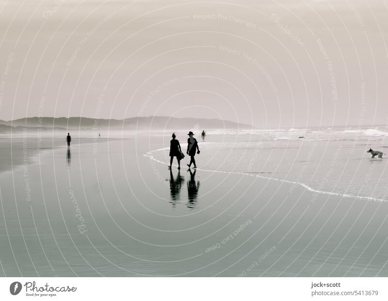 ein fast perfekter Tag am Meer Strandspaziergang Paar Natur Sommer Monochrom Ferien & Urlaub & Reisen Spaziergang Erholung Reflexion & Spiegelung Wasser