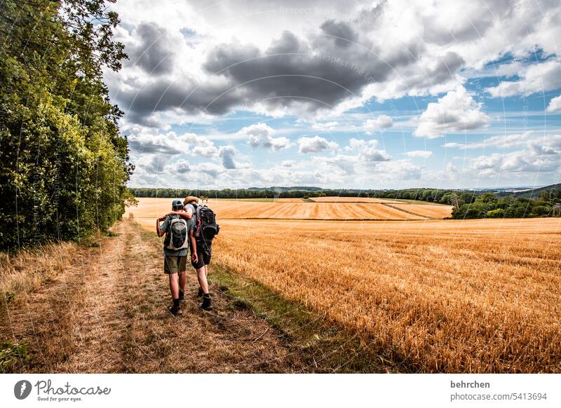 wenn der vater mit dem sohne Wolken Himmel Farbfoto Idylle idyllisch Ernte Ackerbau Nutzpflanze Pflanze Umwelt Landschaft Kornfeld Natur Landwirtschaft Sommer