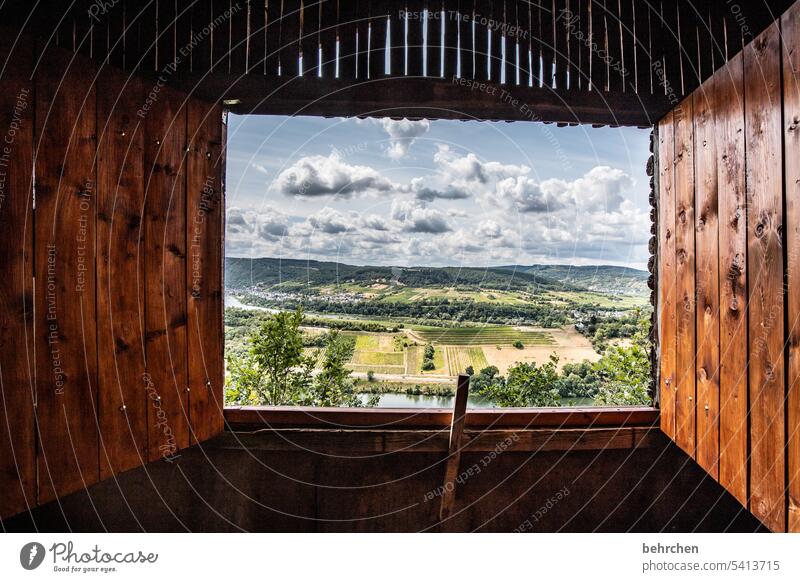 FERNseher Wald Ferien & Urlaub & Reisen wandern Natur Außenaufnahme Umwelt Wolken Himmel Landschaft Berge u. Gebirge Schönes Wetter Ferne Wein Weinberg Mosel