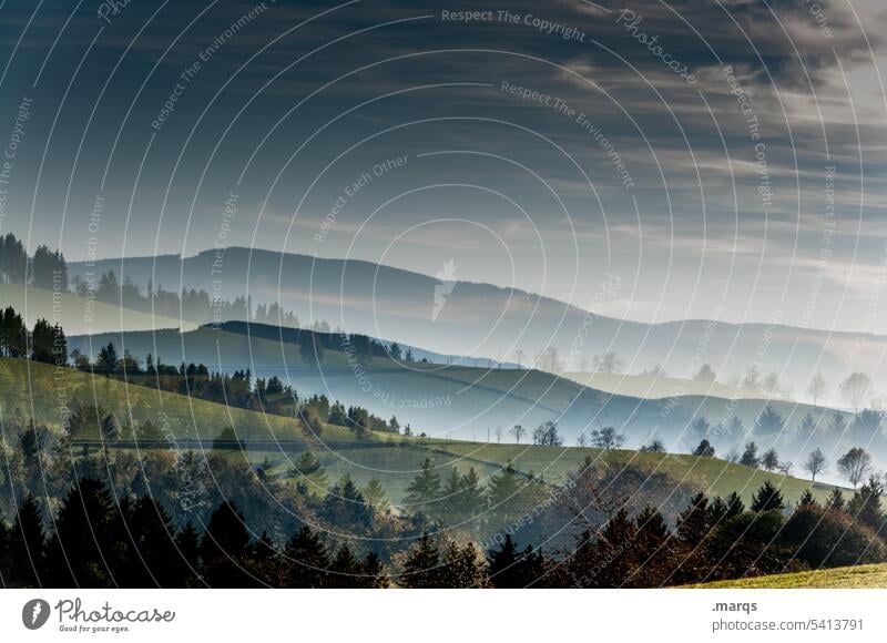 Schwarschwarzwald Aussicht Stimmung schön Schwarzwald Berge u. Gebirge Hügel Wald Nebel Schönes Wetter Klima Horizont Himmel Urelemente Landschaft Natur Umwelt