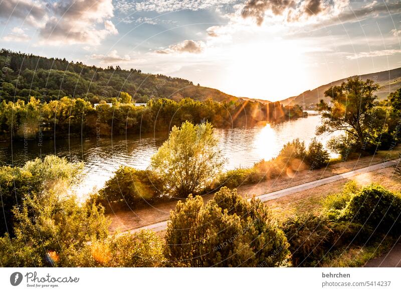 SONNenTAG Dämmerung Abenddämmerung Himmel Wärme Farbfoto wunderschön Außenaufnahme Sonne Sonnenlicht Sonnenuntergang Sommer Gegenlicht Landschaft Sonnenstrahlen