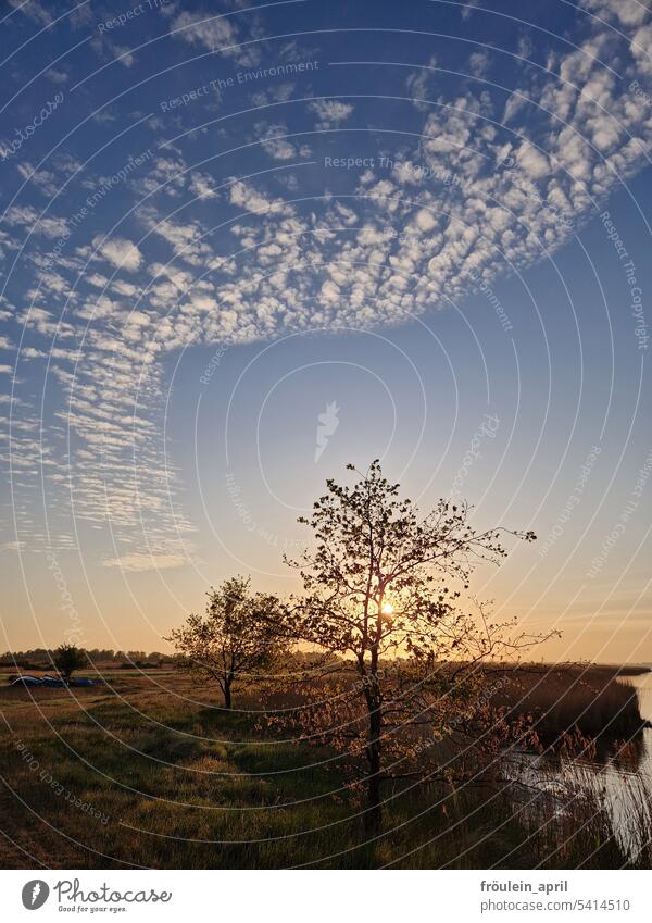 Wellenwolken | Sonnenaufgang mit Cirrocumulus und Uferlandschaft Sonnenaufgang - Morgendämmerung Sonnenaufgangslandschaft Sonnenaufgang Himmel Sommer Wolken