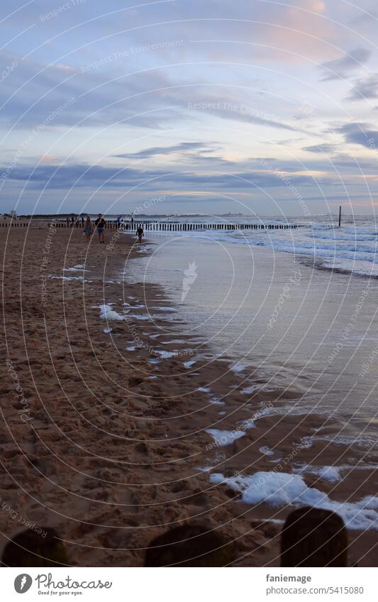 Wellenlinie mit Schaumkrönchen am Strand von Cadzand, Holland, während der blauen Stunde Strang Schaumkrone wellen sonnenuntergang Blaue Stunde holländisch