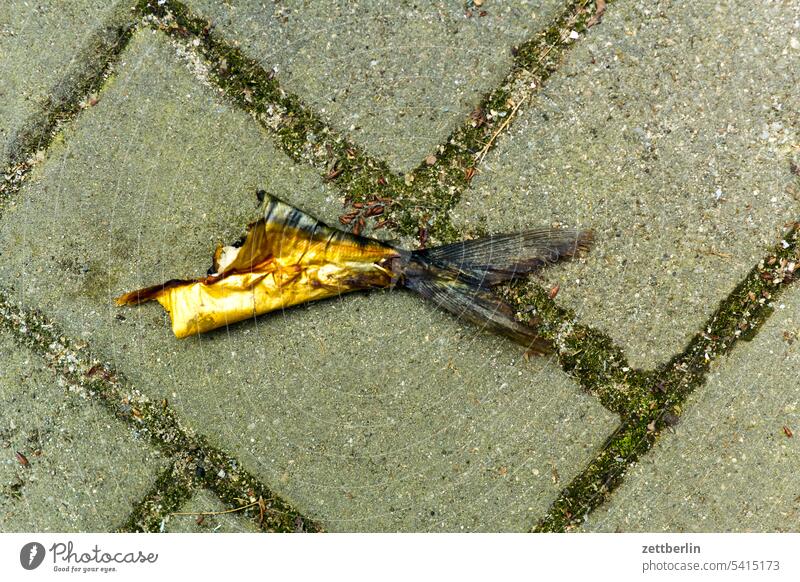 Fischschwanz fisch fischschwanz city ernährung essen froschperspektive innenstadt kiez leben platz schatten stadtbezirk straßenfotografie street photography