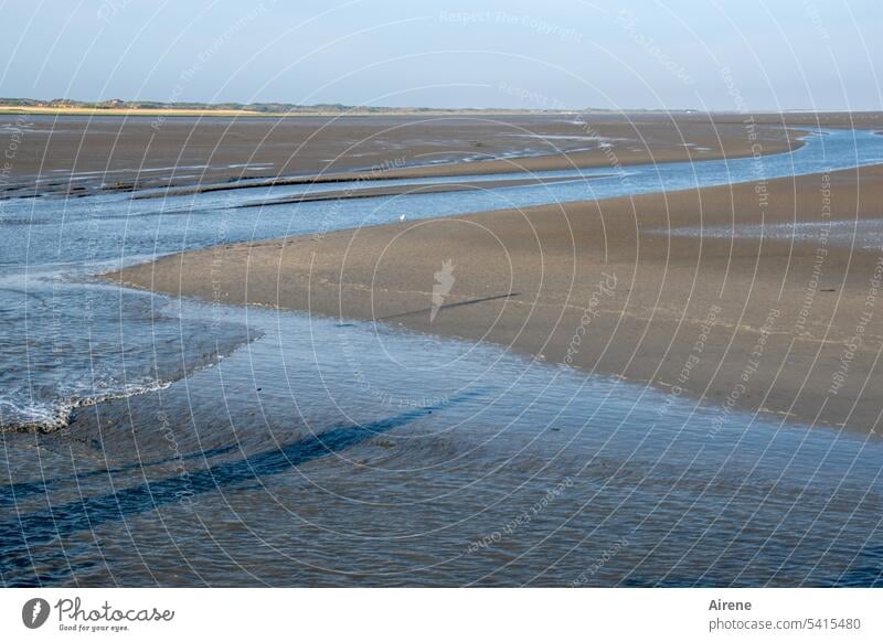 abgefahren | Die Fähre zum Festland Meer Ebbe Watt Sand Wasser Ferne weit Nordsee Gezeiten Horizont seichtes Wasser Schlick Weite Strand Juist Totale