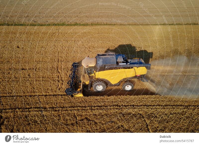 Mähdrescher bei der Arbeit auf einem landwirtschaftlichen Feld. Erntesaison Ernten Erntemaschine Roggen Agronomie Gerste Antenne Weizen Lebensmittel Sommer