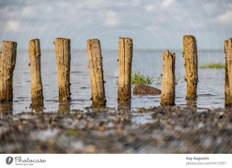 Lahnung am Wattenmeer lahnung küstenschutz landgewinnung uferschutz spiegelung wattenmeer norddeutschland sylt holzpflockreihen nationalpark wattenmeer felsen