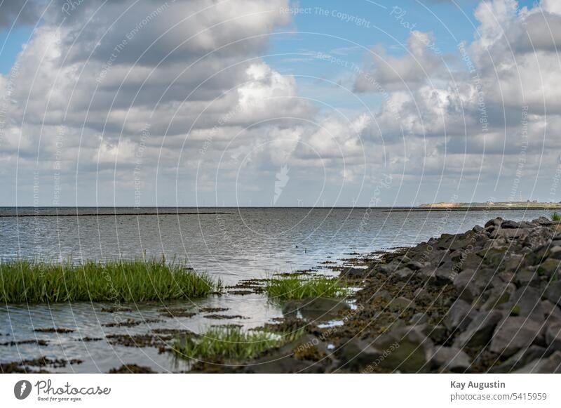 Nationalpark Wattenmeer Nordsee Küste Meer Nordseeküste Natur Horizont Gezeiten Insel Ebbe Schlick Ferien & Urlaub & Reisen Sommer Erholung ebbe und flut Himmel