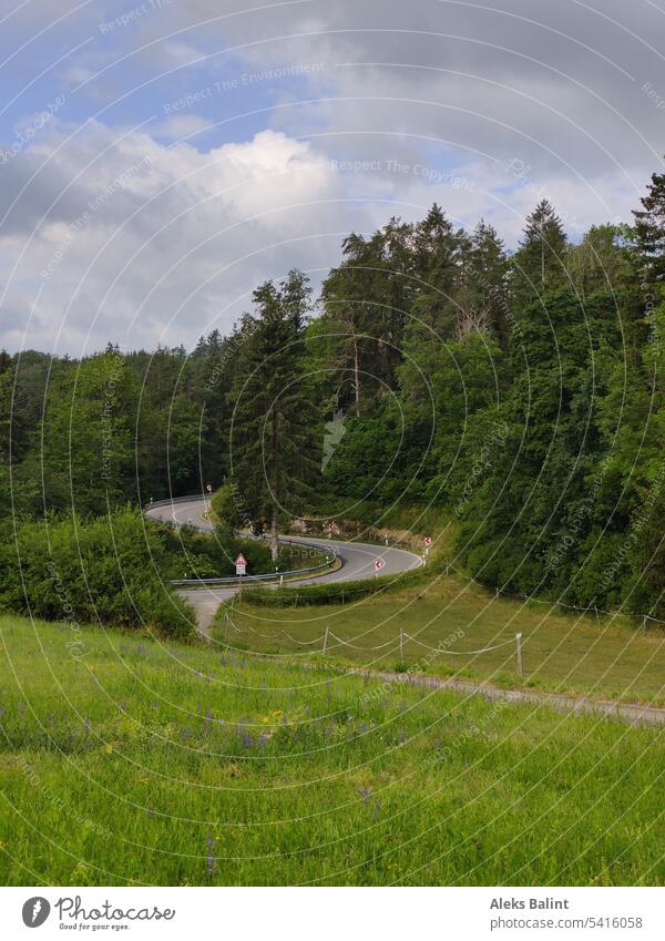 Serpentine durch den Wald Straße Berge Landschaft Kurve malerisch Ansicht schön Natur Weg Berge u. Gebirge reisen grün Sommer im Freien