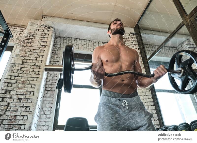 Bärtiger Mann trainiert mit Langhantel im Fitnessstudio Heben Curl-Hantel ohne Hemd Wegsehen Training Übung Gewicht männlich passen stark Kraft bärtig Sport