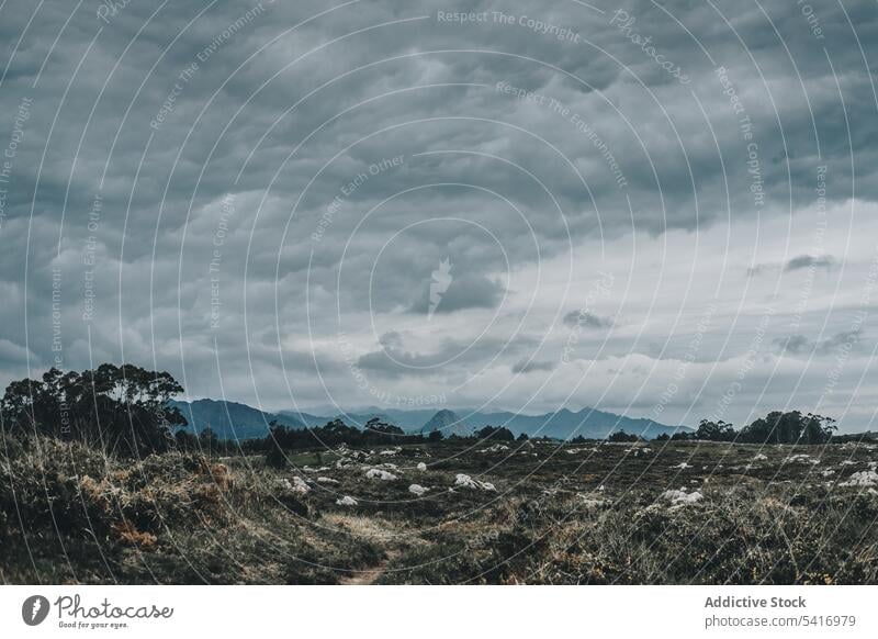 Bewölkter Himmel und verdorrtes Gras Berge u. Gebirge wolkig Natur bedeckt Landschaft Feld Nebel Umwelt reisen Tourismus Pflanze Flora Wiese ruhig Wildnis schön