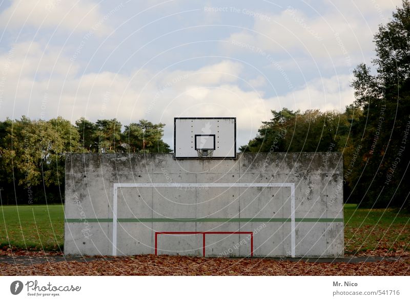 PlayStation Lifestyle Spielen Sport Ballsport Umwelt Natur Himmel Wolken Herbst Schönes Wetter Baum Blatt Wiese Mauer Wand Basketball Basketballkorb Linie