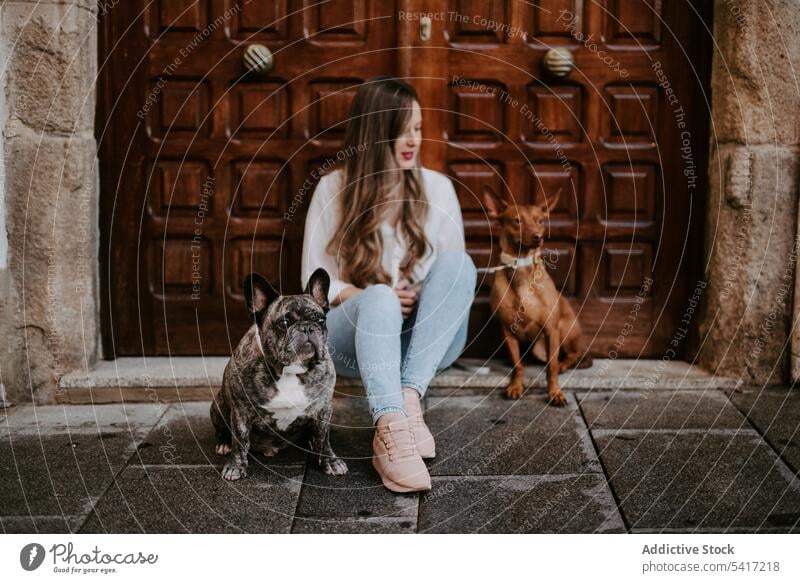 Frau mit Hunden auf der Straße Haustier wenige Bulldogge Jagdhund Stil Veranda Bürgersteig Sitzen cool urban Besitzer Zusammensein Freund Eckzahn Menschengruppe